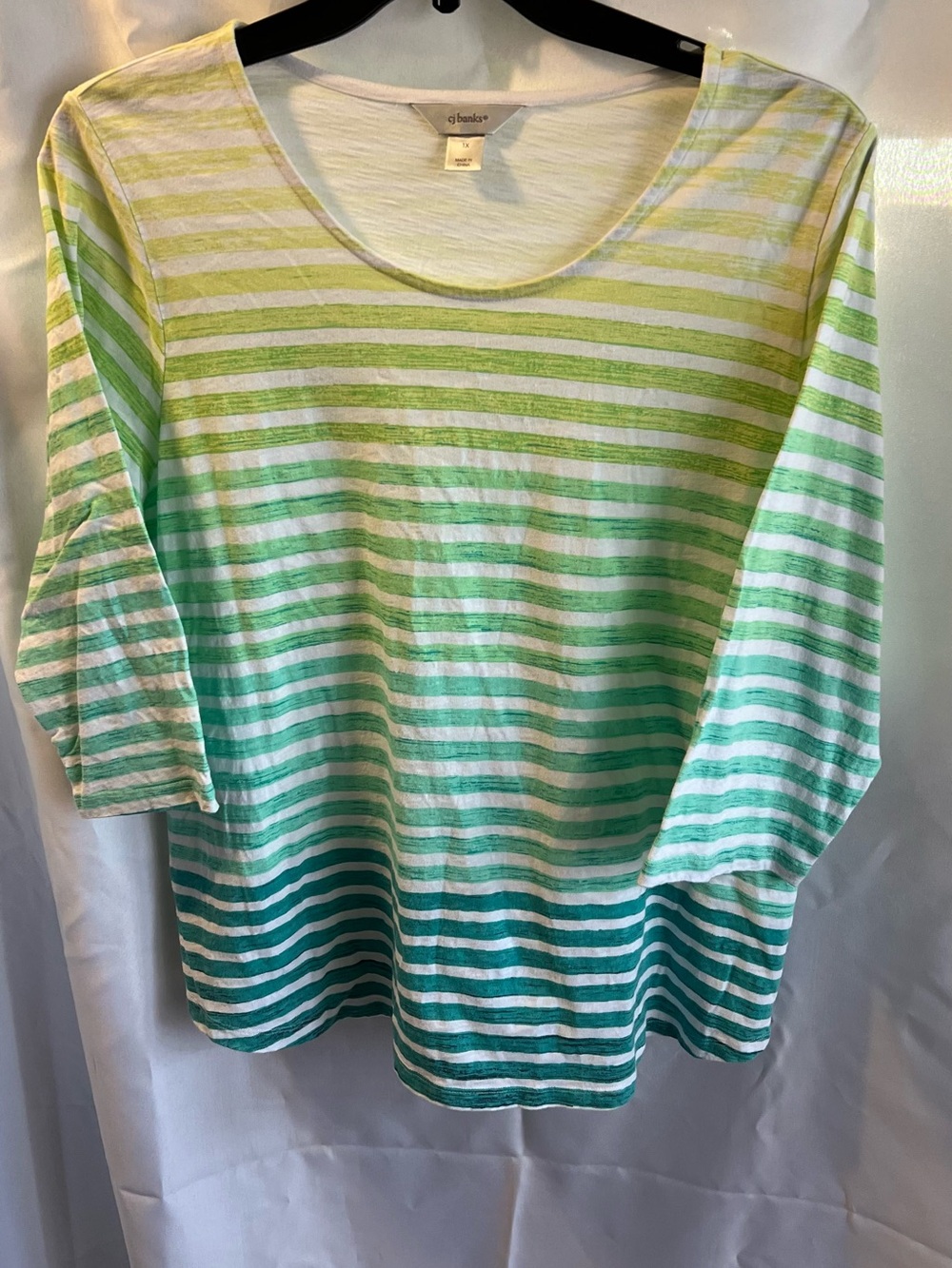 CJ Banks Green Ombre Stripe Long Sleeve Tee